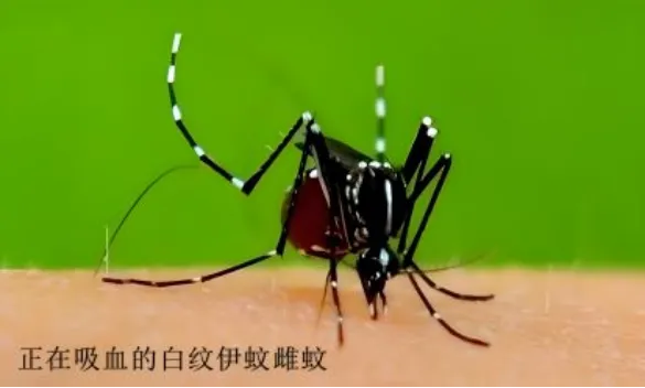 图片3.png