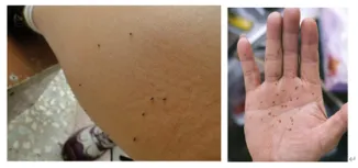 图片4.png