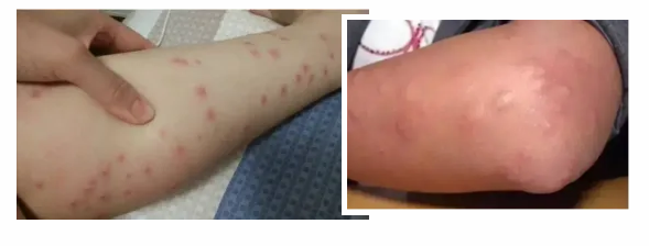 2024-10-10 09-22-45屏幕截图.png
