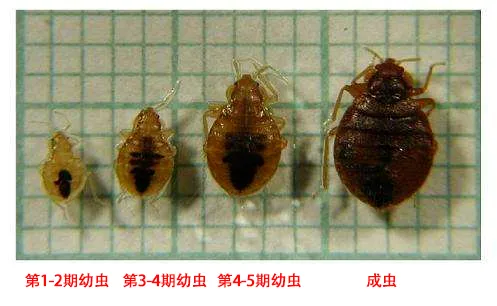图片11.png