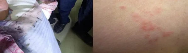 图片14.png