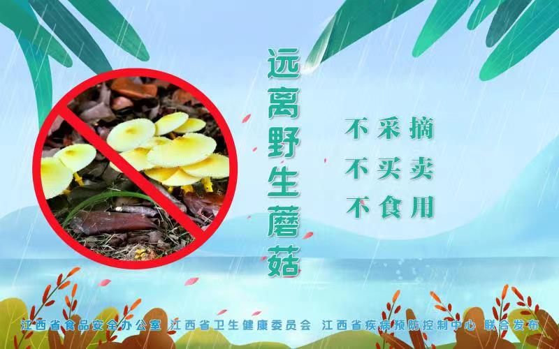 图片7.png