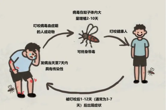图片8.png