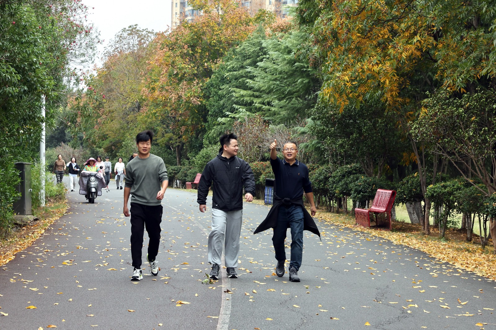 1762310631082009692.jpg 2.jpg