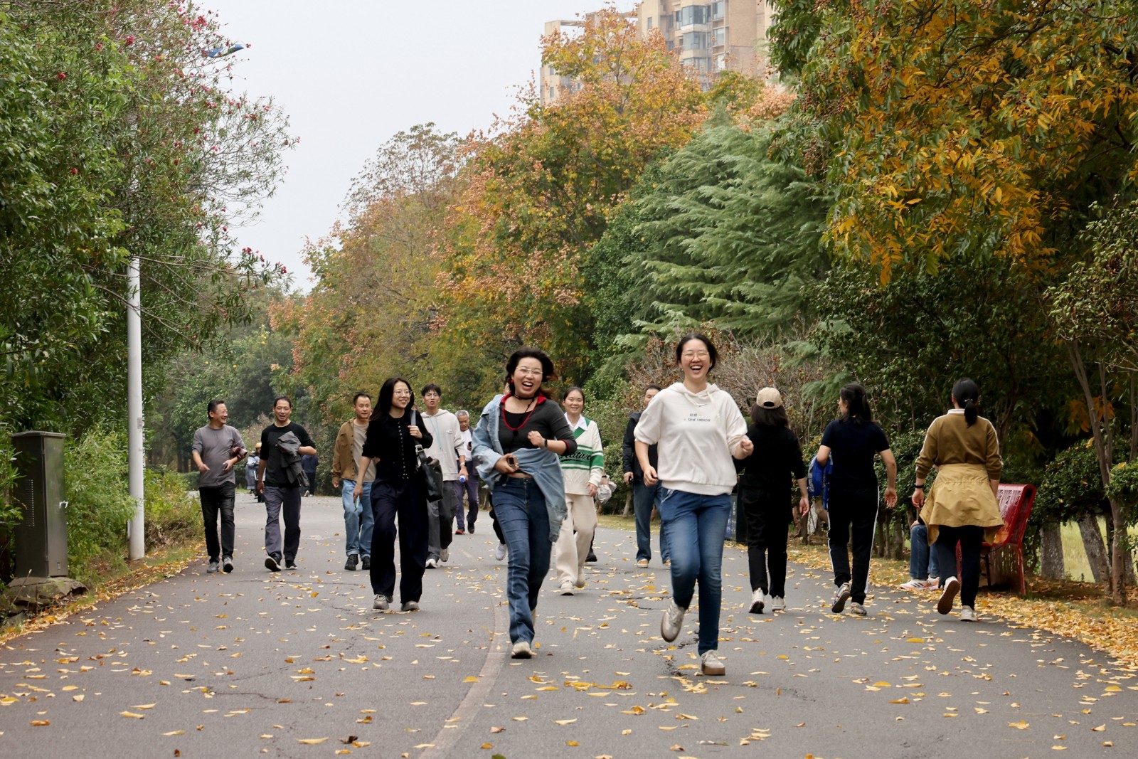 1762310644384023142.jpg 3.jpg