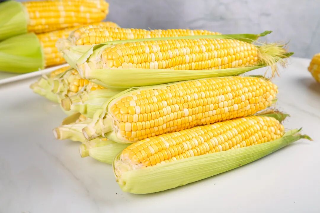 1763620988066065584.png 图片9.png