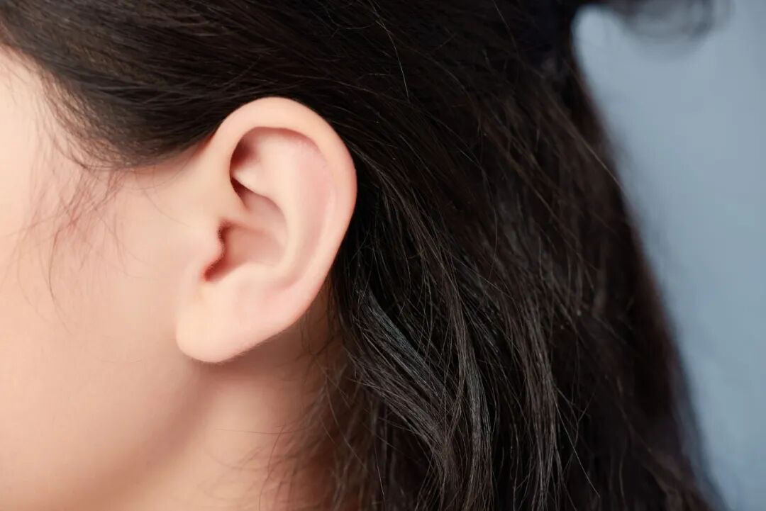 1772506735368081232.png 图片4.png