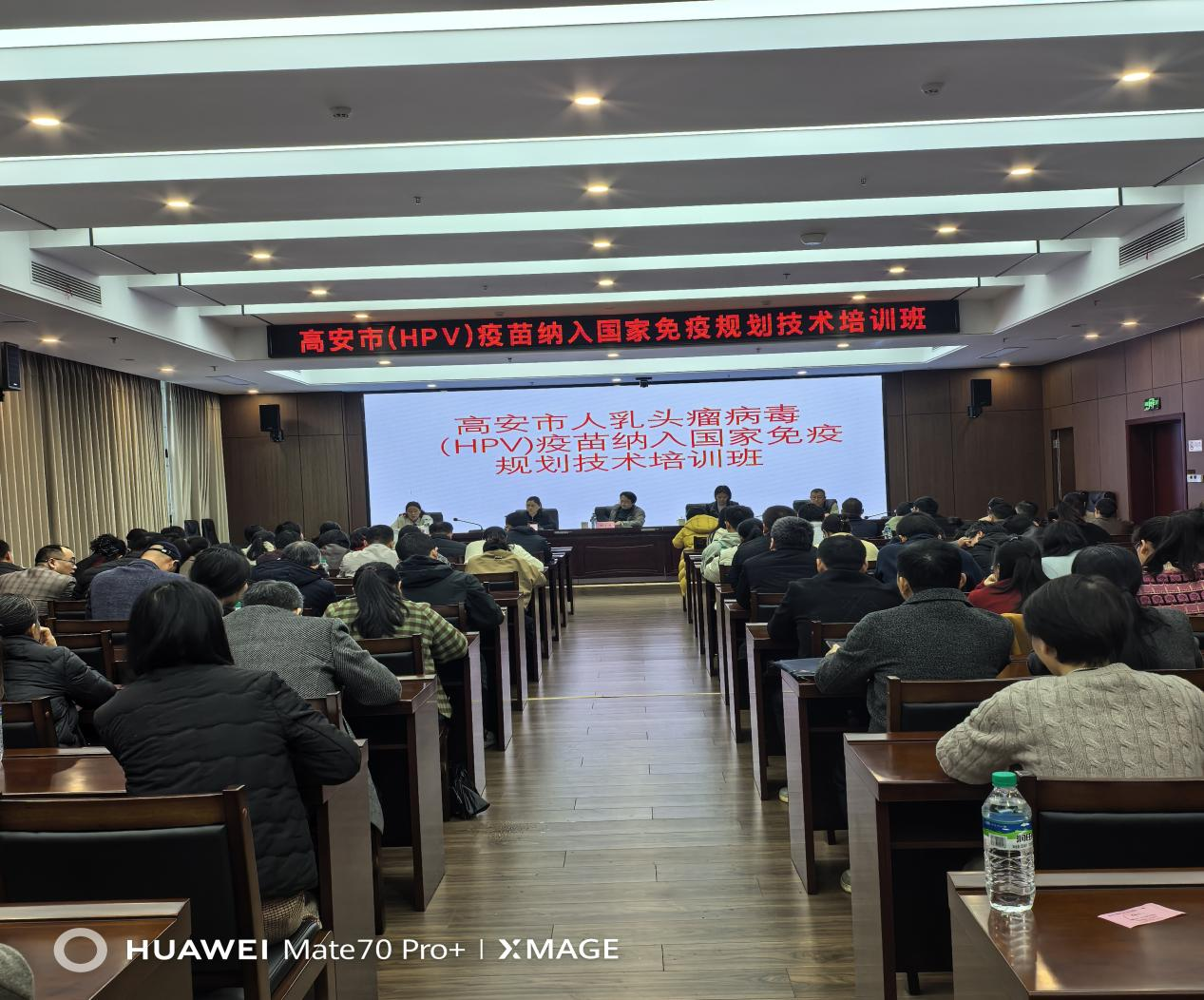 1775113943731020849.png 图片3.png