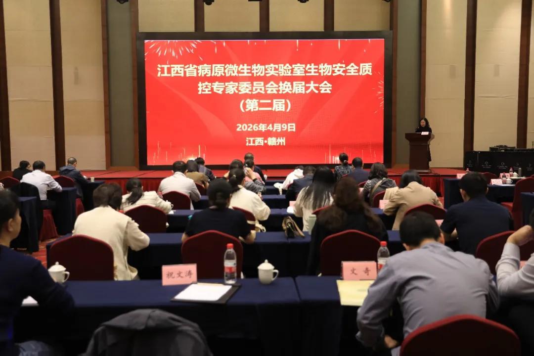 1776070773625057682.jpg 图片5.jpg